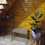 тиша