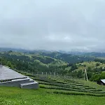тиша Apartamento *