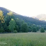 тиша Apartamento