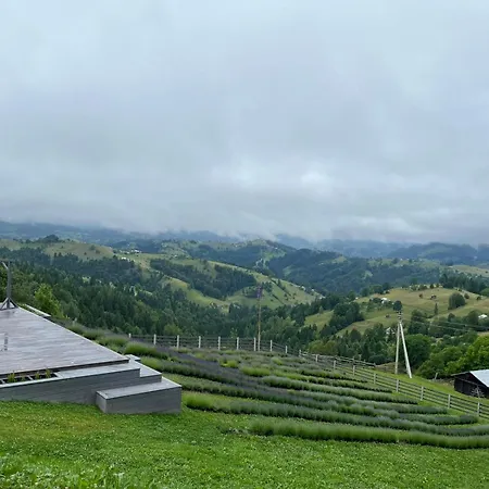 тиша Apartment *