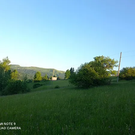 тиша 公寓