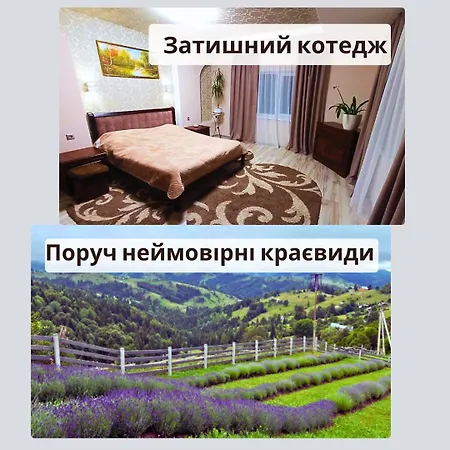 아파트 тиша *