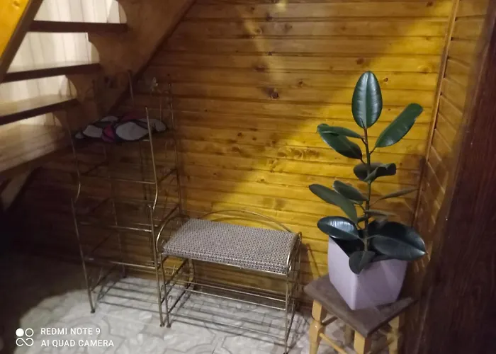 тиша